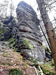 Kehllochscheibe