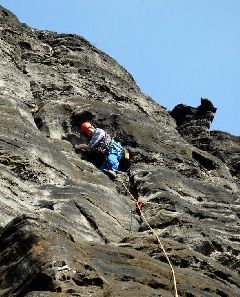 Im Alten Talweg der Falkenwand