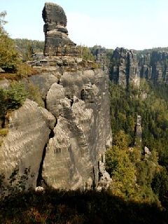 Muschelkopf